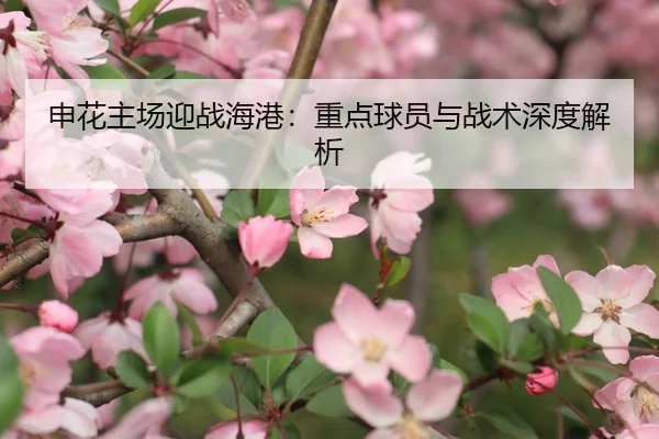 申花主场迎战海港：重点球员与战术深度解析